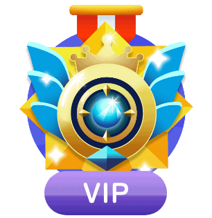 ระดับสมาชิก VIP